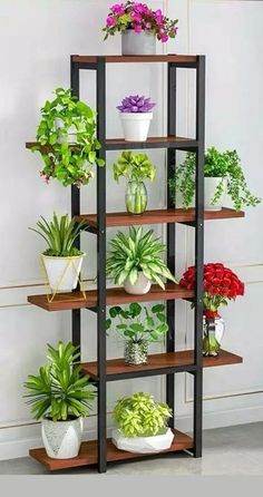 Plant stand decorations نباتات منزلية, Inside Plants, Plant Stand Indoor, House Plants Indoor