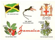 an old postcard shows the symbols of jamaica