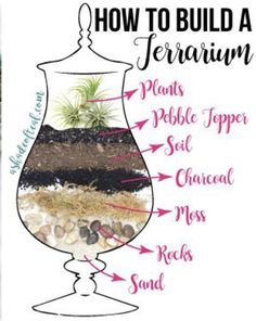 how to build a terrarium in a glass vase