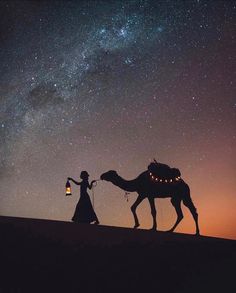 a person walking with a camel under the night sky