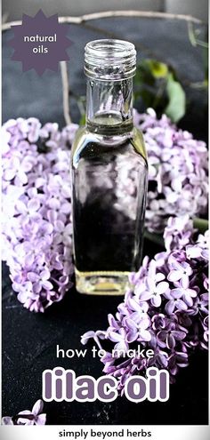 Learn How to Make Lilac Oil with our guide in the Natural Oils section. This easy recipe infuses the fragrant benefits of lilacs into a versatile oil, suitable for DIY beauty and bath products. A perfect way to incorporate the medicinal qualities of lilacs into your daily routine. Visit simplybeyondherbs.com for more natural remedies and herb recipes. Flower Infused Oil, Diy Natural Beauty Recipes, Herbal Oils, Homemade Beauty Recipes, Herbal Salves, Natural Beauty Recipes, Homemade Cosmetics