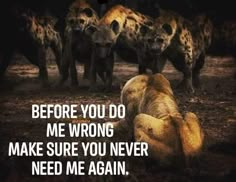 a group of hyenas with the words before you do me wrong make sure you never need me again