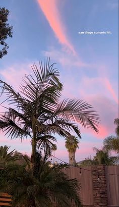 a palm tree in front of a pink and blue sky