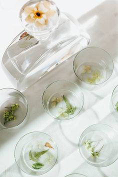 small glass dishes with flowers in them sitting on a white counter top next to a clear container