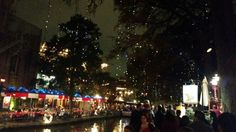 people standing on the side of a river at night