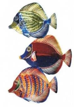 three colorful fish are shown on a white background