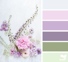 the color scheme is lavender and green, with pink flowers on it's side