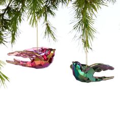 two ornaments hanging from a pine tree with white sky in the backgrounnd