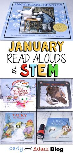 Homeschool January, Stem Read Alouds, Snowflake Activities, Snowflake Activity, Winter Wednesday, Tacky The Penguin, Winter Stem Activities