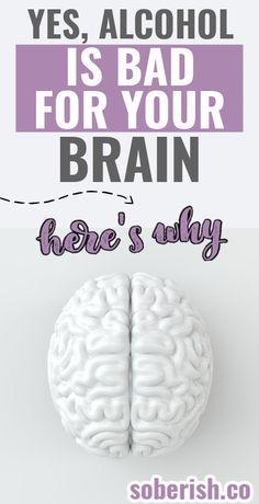 Brain Exercises, Brain Health Supplements, Fun Exercises, Brain Size, Alcohol Withdrawal, Brain Structure