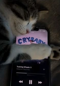 a cat that is laying down next to a cell phone with the word crybaar on it