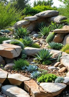 a rock garden with succulents and rocks