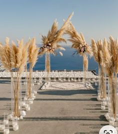 an outdoor wedding setup with tall pamodia flowers and greenery in vases