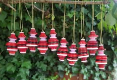 red and white ornaments hanging from a tree branch