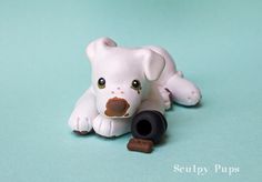 a small white toy dog laying on top of a blue surface next to a cookie