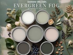 Evergreen Fog Home Paint Palette, Sherwin Williams 2024 Inspired, Whole House Color Scheme, Trend Interior Paint Design, Farmhouse & Cottage - Etsy Trending Home Colors 2024, Popular Wall Colors 2024, Sherwin Williams Honed Soapstone, Iron Ore Living Room, Sherwin Williams Paint Colors For 2024, Iron Ore Color Palette, Foyer Paint Color Ideas, Interior Paint Design, Home Paint Palette