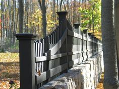 an iron fence in the fall with leaves on the ground