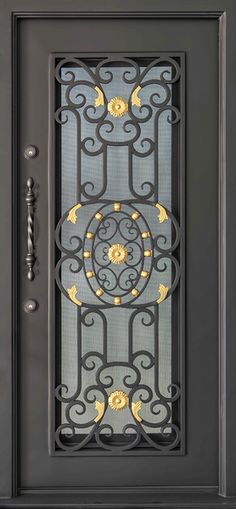 an ornate iron door with glass panels and decorative designs on the side panel, in black