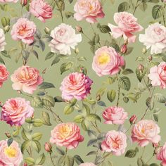 a green background with pink roses and leaves