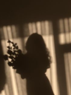 the shadow of a woman holding a flower in her hand and looking at something behind her