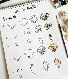 an open notebook with seashells drawn on it next to some watercolor paints