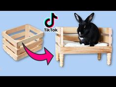 a rabbit sitting on top of a wooden crate