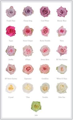 different types of flowers with names in each flower petals, and colors that are pink, white, red, green, blue, yellow