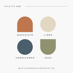 the color scheme for an art project with different colors