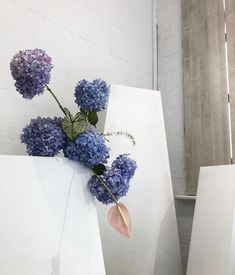 two white vases with blue flowers in them