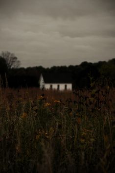 a white house sitting in the middle of a field with tall grass and wildflowers