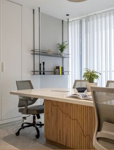 an office desk with two chairs and a plant in the corner on top of it