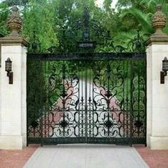 an iron gate is open to reveal a pink and white cat sitting on the ground