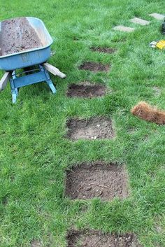 a dog laying in the grass next to a wheelbarrow with dirt on it