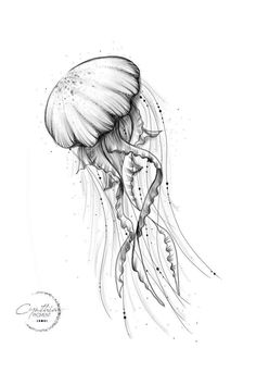 a black and white drawing of a jellyfish