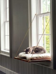 a cat laying on top of a wooden window sill next to a white rug