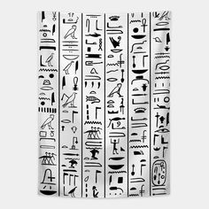 the egyptian hierograms are on display in this black and white photo shower curtain