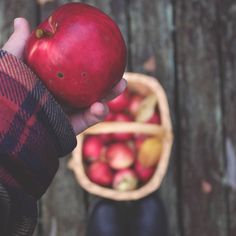 a person holding an apple in their hand next to a basket of apples on the ground