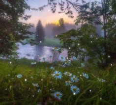 the sun is setting over a lake surrounded by wildflowers and trees with fairy lights in the sky