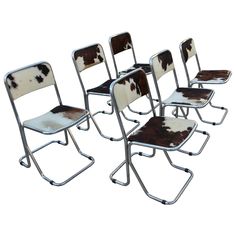 six chairs with brown and white cow hide seats on each side, all in metal frame