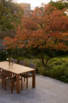 a wooden table surrounded by chairs and trees