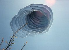 a bunch of balloons floating in the air with some plants growing out of it's bottom