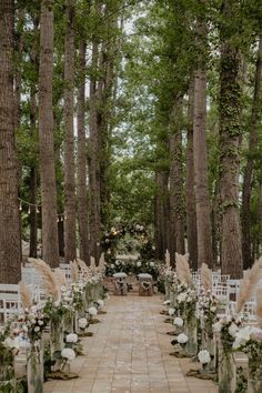 an outdoor wedding setup with white chairs and flowers on the aisle, surrounded by tall trees