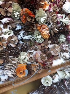 many different types of pine cones and flowers