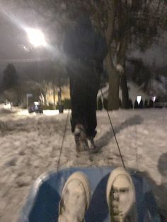 two people walking their dogs in the snow at night with one person on a sled