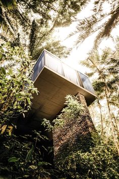 a tree house in the middle of some trees and bushes with sunlight coming through it