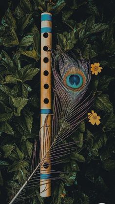 a flute with an eye on it surrounded by leaves and flowers