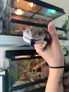 a person holding up a small lizard in front of an oven with its mouth open