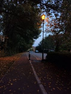 a street light sitting on the side of a road next to some bushes and trees