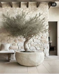 a large white vase with a tree in it next to a stone wall and bench