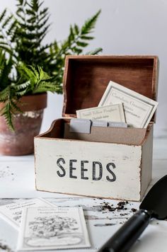 a wooden box filled with seeds next to a potted plant and seed packets on a table